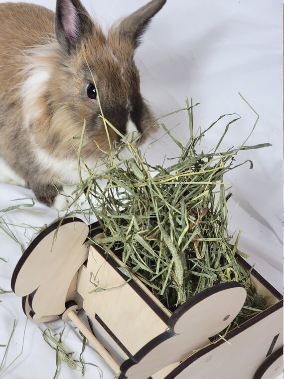 Hay Feeder Forage Toy for Rabbits Hideatreat Forage Rolling Etsy