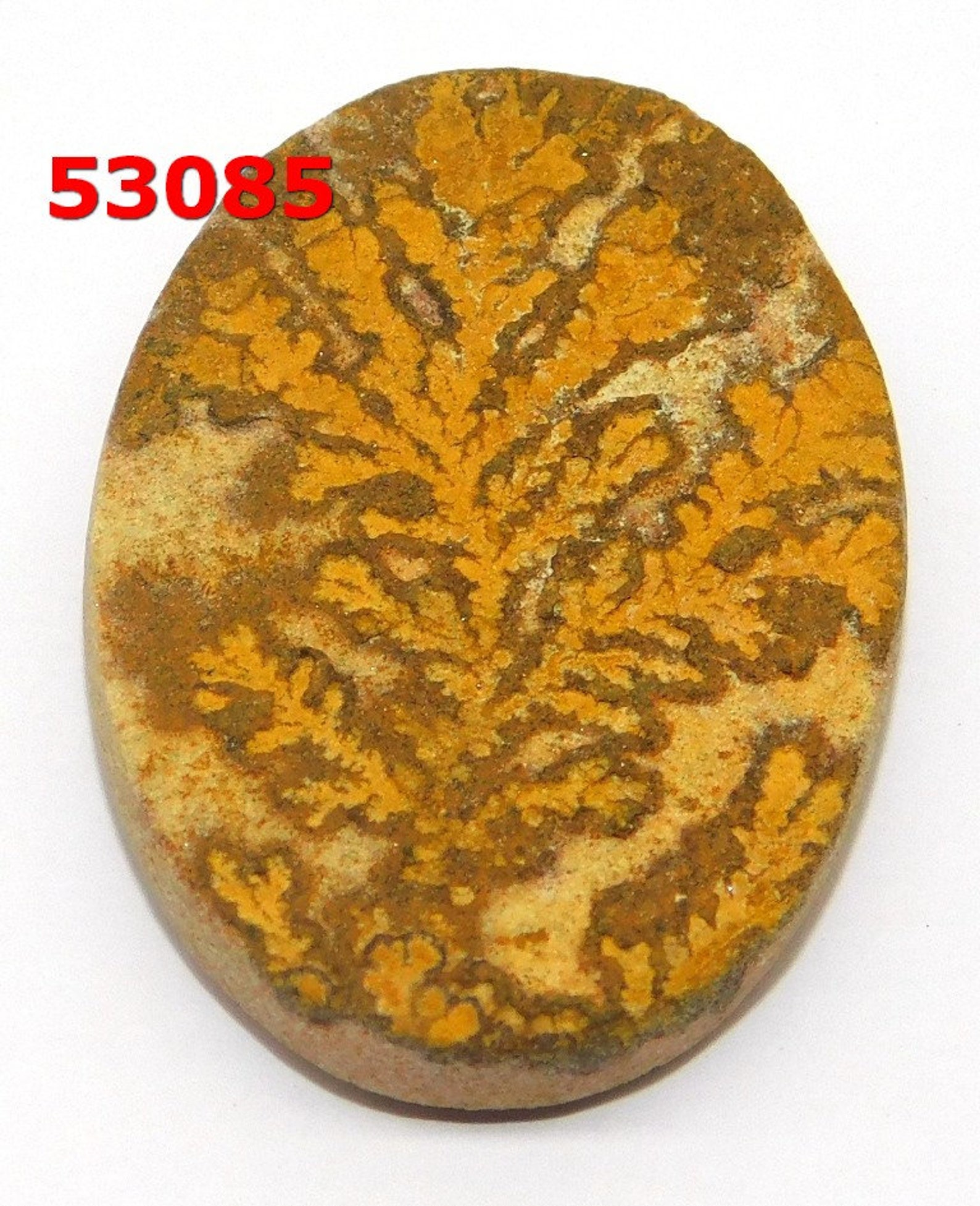 psilomelane dendrite psilomelane dendrite