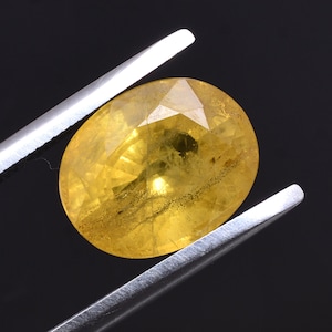 Pedra de nascimento de safira | Amarelo | Corte oval | Certificado