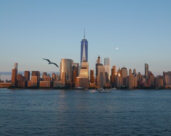 New York City Skyline