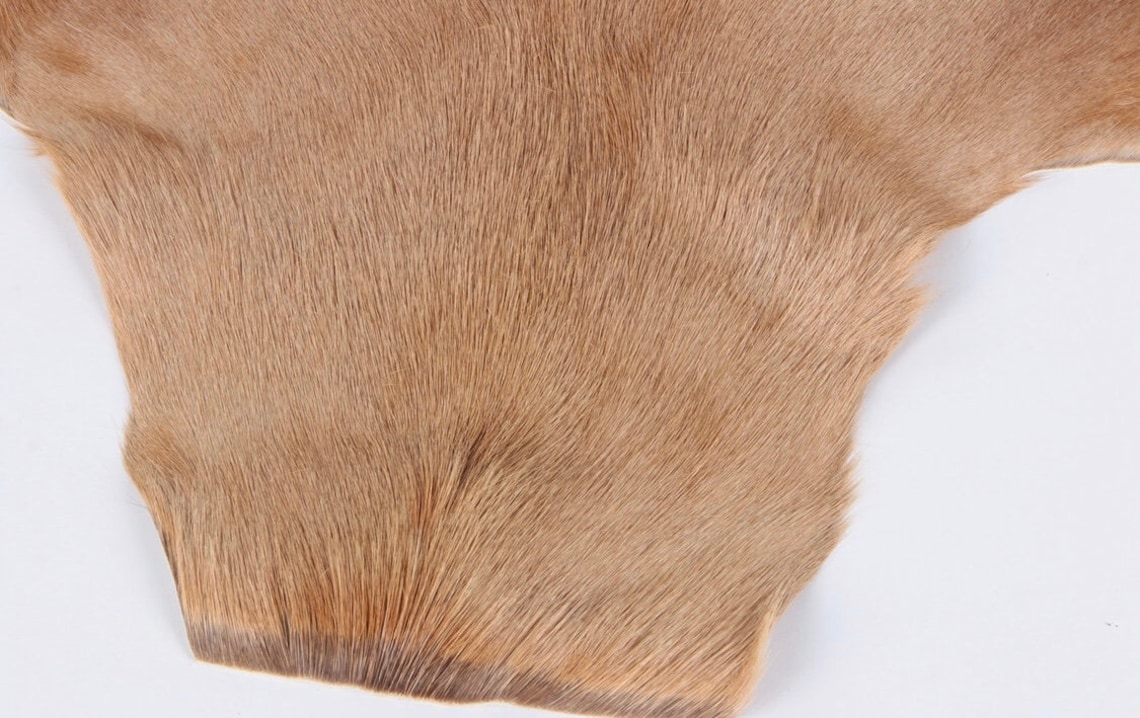 Luxurious Antelope Rug Etsy