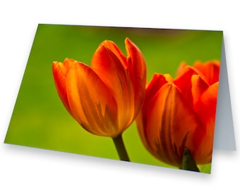 Blumengruß Fotokarte Tulpen