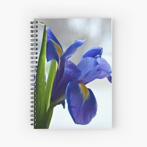 notepad