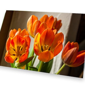 Blumengruß - Tulpenstraß