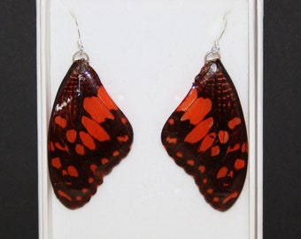 Beautiful Real Butterfly Wing Earrings, Butterfly Earrings, Resin Earrings, Wing Earrings, Natural Earrings, Tonsai 2, Ethically Sourced