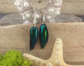 Beautiful Beetle Wing Earrings, Vibrant, Lustrous, Uplifting, Green, Drop, Dangling Earrings, Hypoallergenic, natural, organic