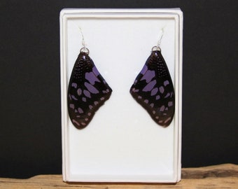 Beautiful Real Butterfly Wing Earrings, Butterfly Earrings, Resin Earrings, Wing Earrings, Natural Earrings, Tonsai 2, Ethically Sourced