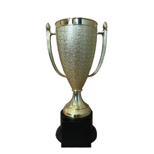 May include: A gold trophy with a textured finish and a black base. The trophy has two handles and a round base.