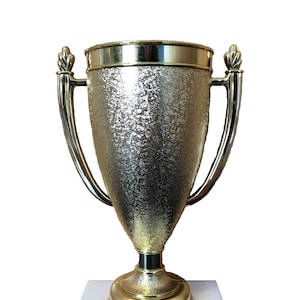 6 Inch Cup Trophy - Free Engraving and Shipping