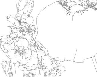 5 Botanical Coloring Pages