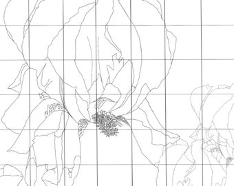 Advanced Botanical Grid Drawing Practice sheets