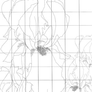May include: A black and white line drawing of three iris flowers with a grid pattern overlayed on top. The flowers are in various stages of bloom, with some petals fully open and others still closed.