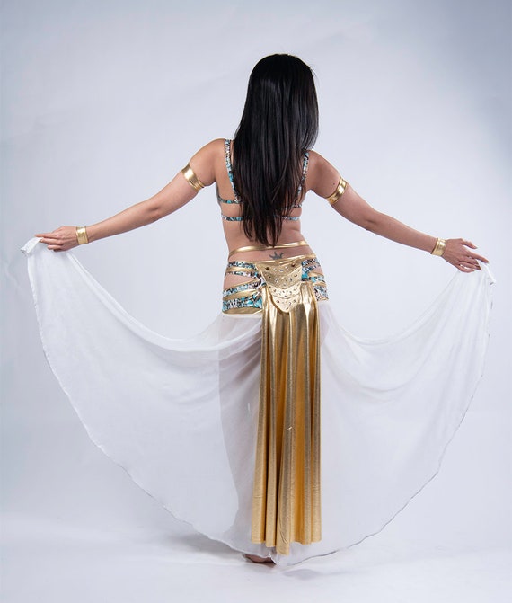 Buy Belly Dance Costume Belly Dance Bra Belt Belly Dancing Skirt Long  Tribal Bellydance Costumes Carnival Outfit Online at desertcartINDIA