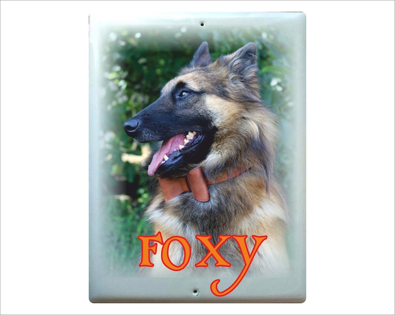 dog decor pet sign dog signs funny dog sign POMERANIAN DOG art portrait dog lover gift dog sign Dog signs for a home gift dog lover