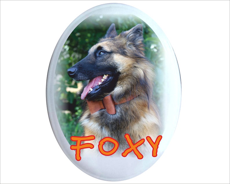 dog decor pet sign dog signs funny dog sign POMERANIAN DOG art portrait dog lover gift dog sign Dog signs for a home gift dog lover