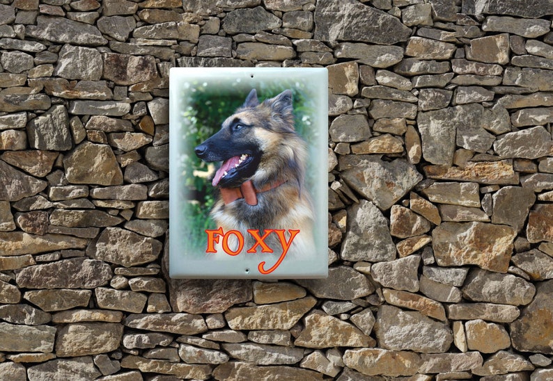 dog decor pet sign dog signs funny dog sign POMERANIAN DOG art portrait dog lover gift dog sign Dog signs for a home gift dog lover