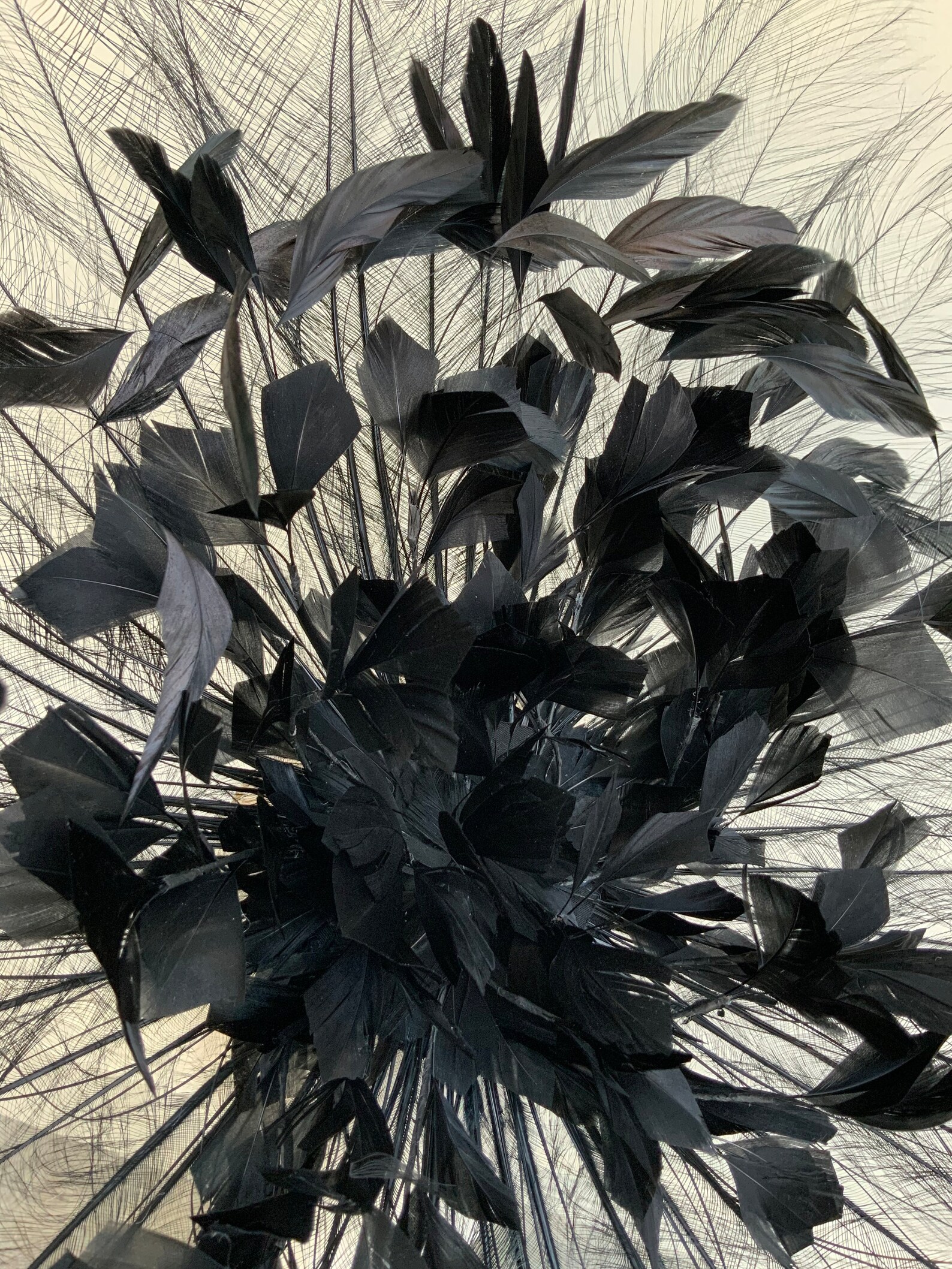 headpiece ascot