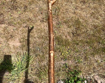 A stout and straight handcrafted 46” Hazel thumb stick with a super smooth finish, natural colour and patina; great gift for self or friend
