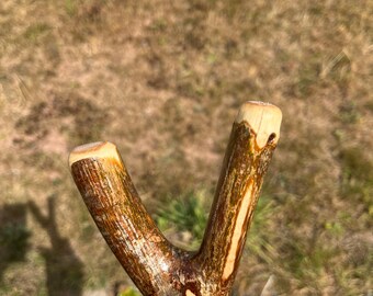 Lovely stout and straight handcrafted 47” Hazel thumb stick, super smooth, natural colour and patina; great gift for self or friend
