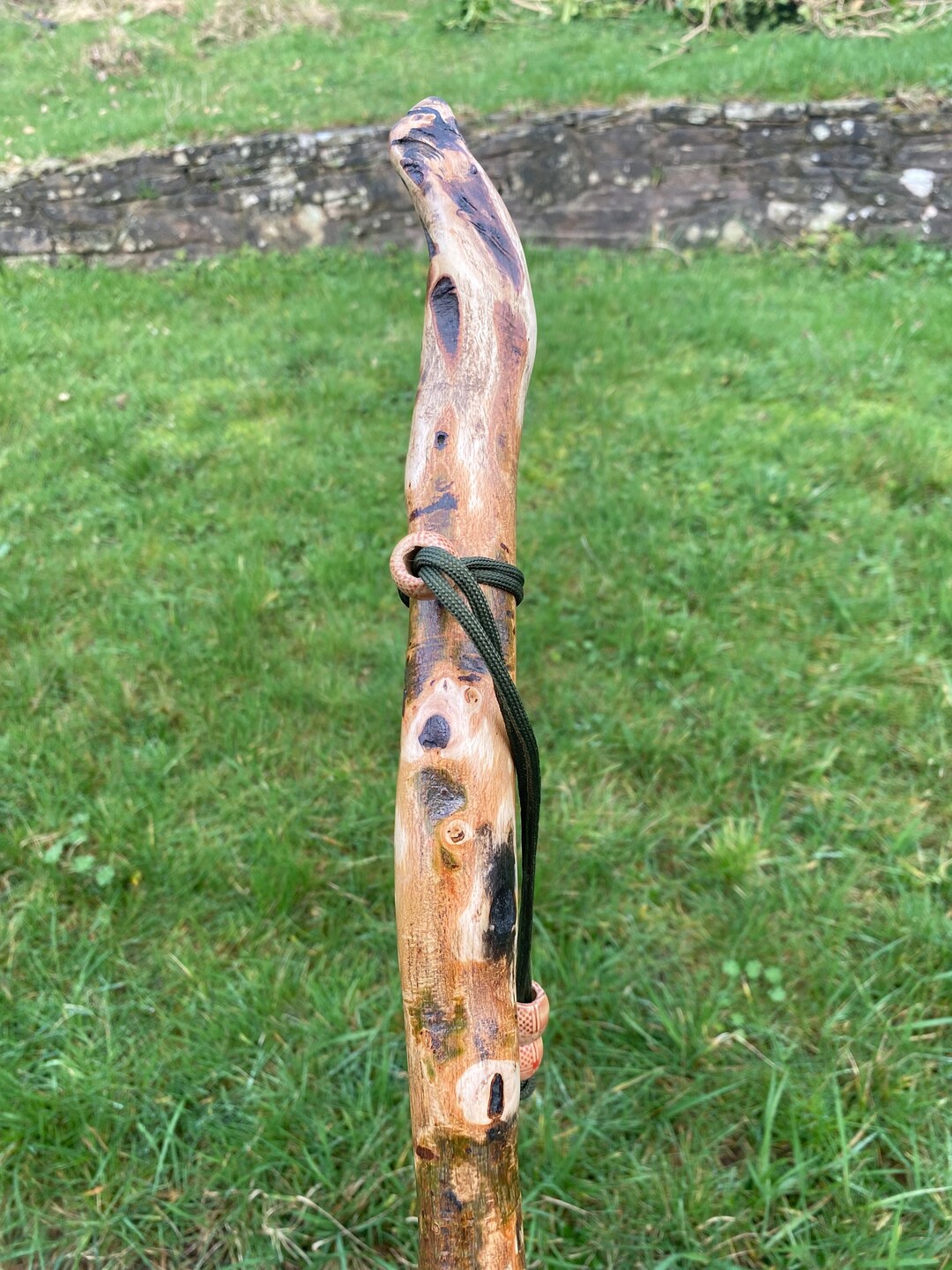 Rustic 43.5in Unique Holly Hiking Stick, Lovely Natural Patina With