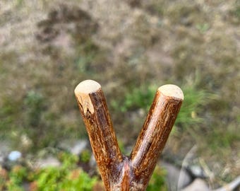 A truly lovely 44” Hazel thumb Stick; straight, strong and smooth Shaft surmounted by a lovely  thumb rest at the top & ferrule at bottom