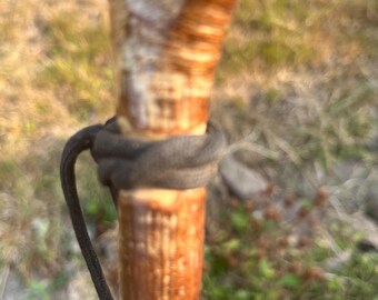 46" lightweight Hazel thumb Stick, very straight & strong. Entirely natural light patina as only used clear oils and varnish as protection