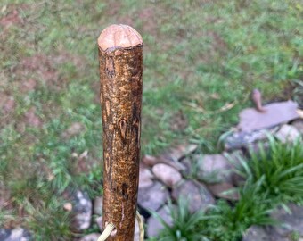 This 45” Hazel Hiking Stick: it has a paracord hand wrist strap, a smooth carved thumb rest and a nice straight strong shaft
