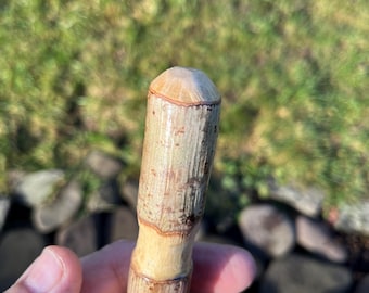 A 45.5 Hazel Hiking Stick: it has a  hand carved Shaft, a smooth thumb rest and a Paracord wrist strap