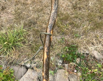 Rustic Holly hiking stick, 44” with paracord wriststrap and angled head for comfortable handhold - retaining natural green patina & texture.