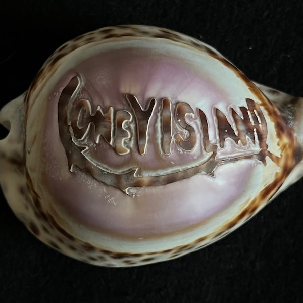 Deeply Hand-Carved Vintage 1950s Cowrie Shell Commemorating Coney Island with Weirdly Branching Letters