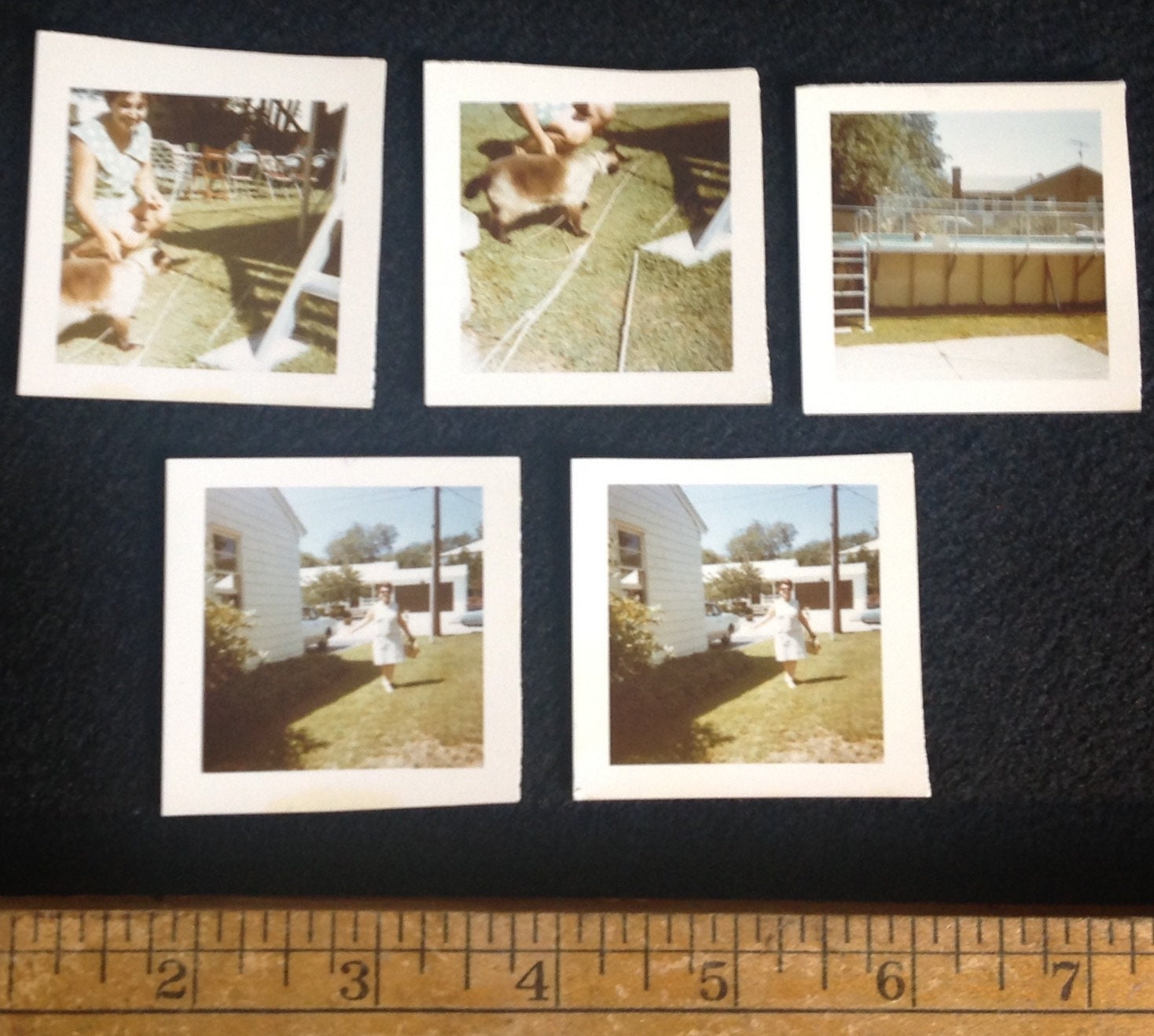 5 Vintage Tiny Little Square Kodachrome Photos Brilliant image