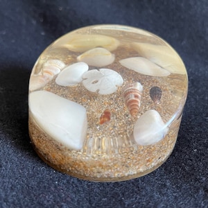 Vintage 1960s Acrylic Paperweight Embedded with Seashells an a Bed of Sand