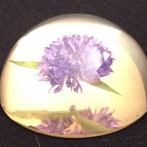 Stunning Vintage 1970s Acrylic Paperweight with a Cornflower (Bachelor Button) Embedded