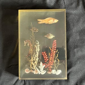Vintage 1970s Acrylic Display Piece of a Seascape -- Seahorse, 3 Fish, Coral, Shells, & Plants Artfully Arranged, Pretty on Window or Desk