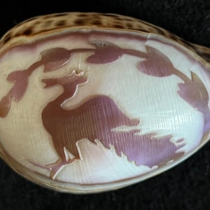Vintage 1970s Carved Cowrie Shell of a Peacock under a Tree Bough
