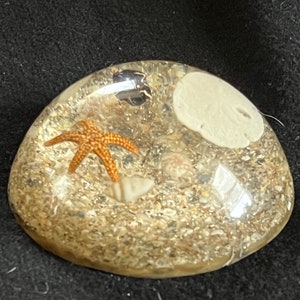 Vintage 1970s Acrylic Paperweight of a Sea Scape Containing, Starfish, Sand Dollar and Shells on a Bed of Sand