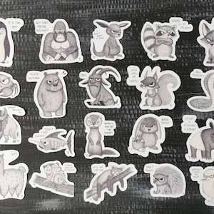 Grumpy Tiere Aufkleber || Grumpy Animals Sticker