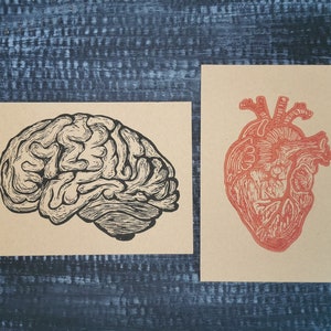 Anatomisches Herz und Gehirn Postkarte || Handbedruckt || Menschliche Anatomie Grußkarte || Linoldruck Karte