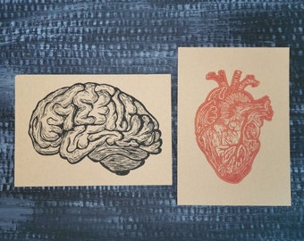 Anatomical Heart Card // Human Heart Postcard