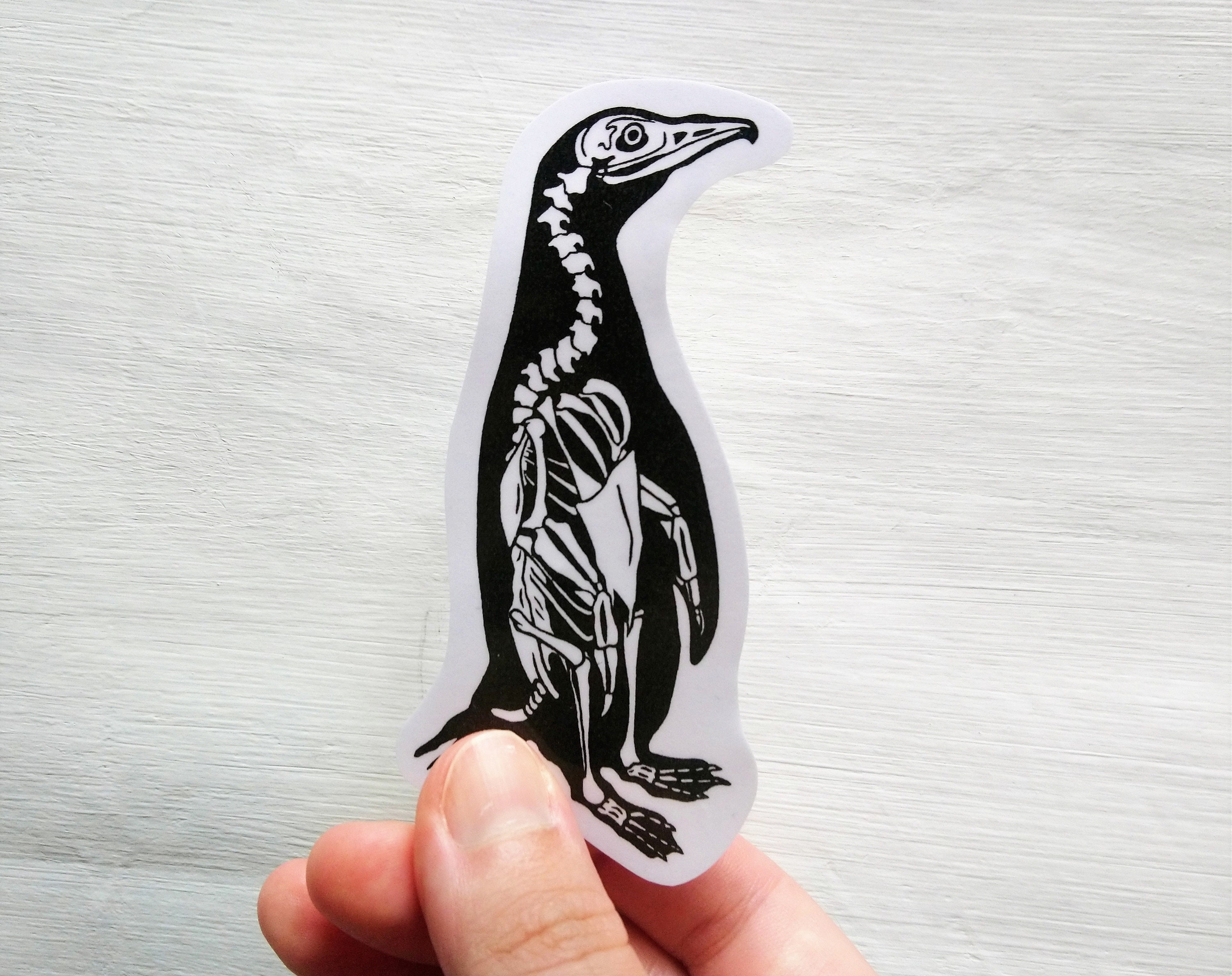 Animal Skeleton Art - Etsy Animal Skeleton Art - Etsy