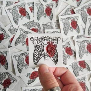 Cage thoracique avec autocollant en vinyle coeur || Autocollants d'anatomie