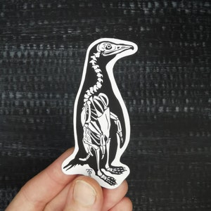 Puede incluir: Pegatina en blanco y negro de un esqueleto de pingüino. El pingüino está de pie con las alas extendidas. La pegatina está sobre un fondo oscuro.