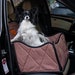 see more listings in the Autositz für Hunde section