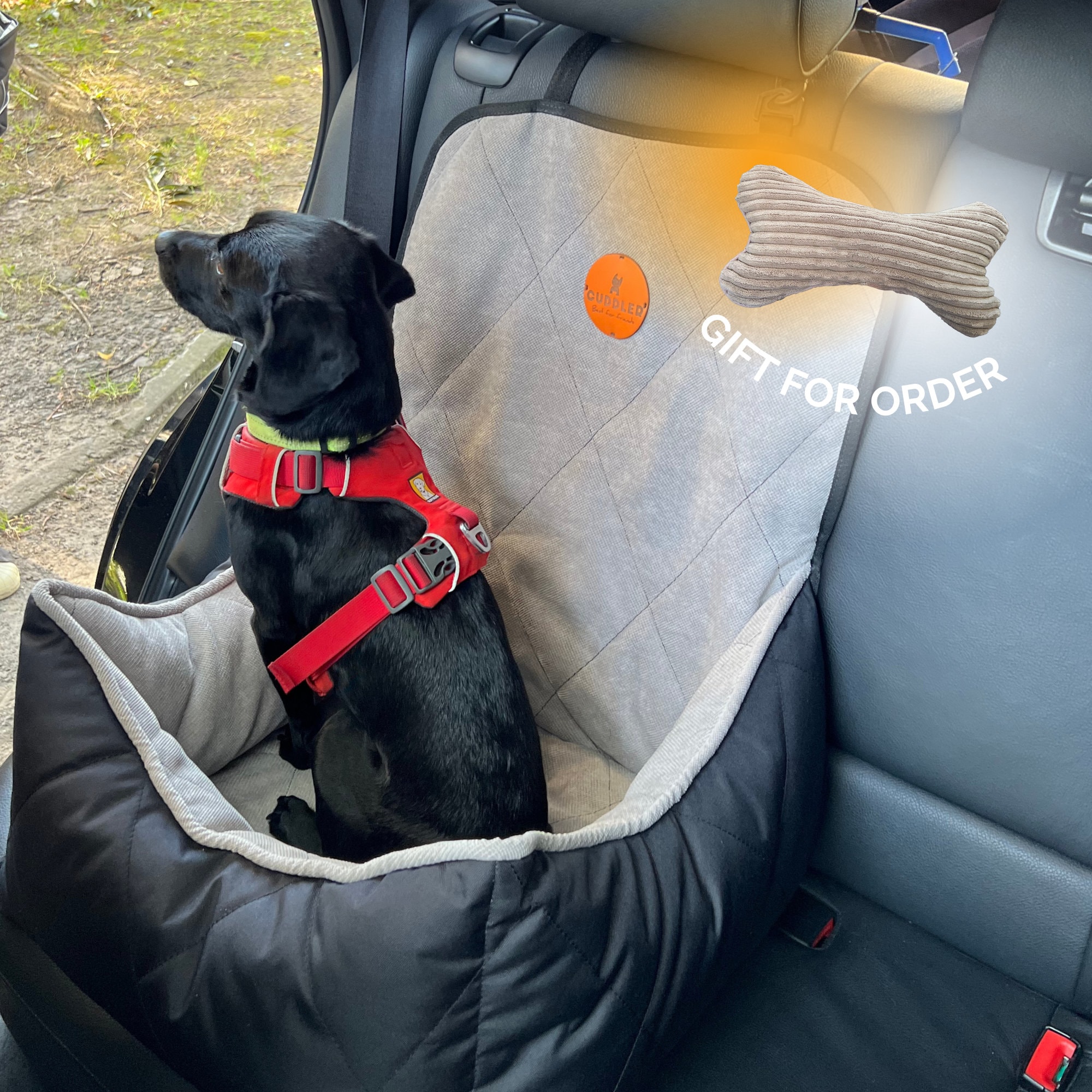 Luxury Pet Car-Seat & Carrier – Luxury Label