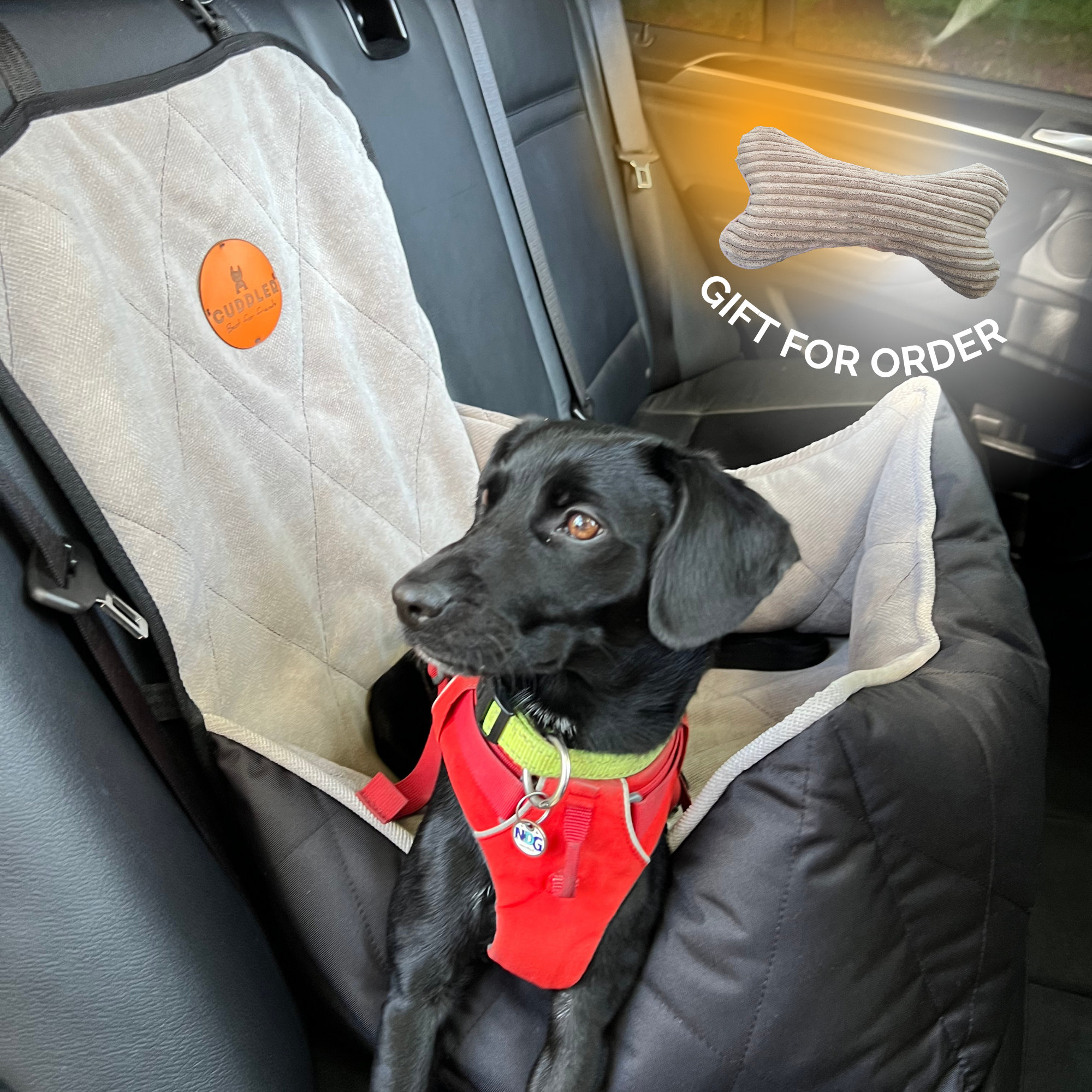Mini car dog sale accessories
