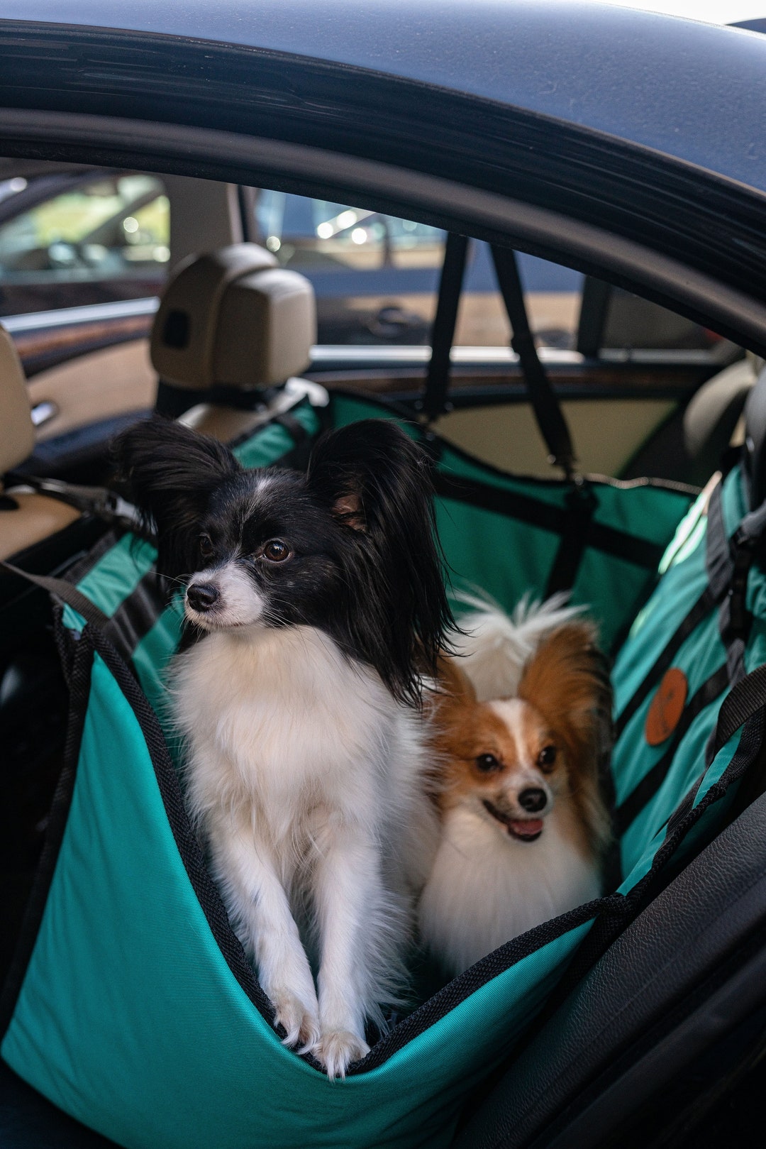 Waterproof Dog Hammock, Deluxe Dog Seat Cover for Back Seat, Waterproof