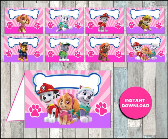 Printable Pink Paw Patrol Food labels instant download Girl | Etsy