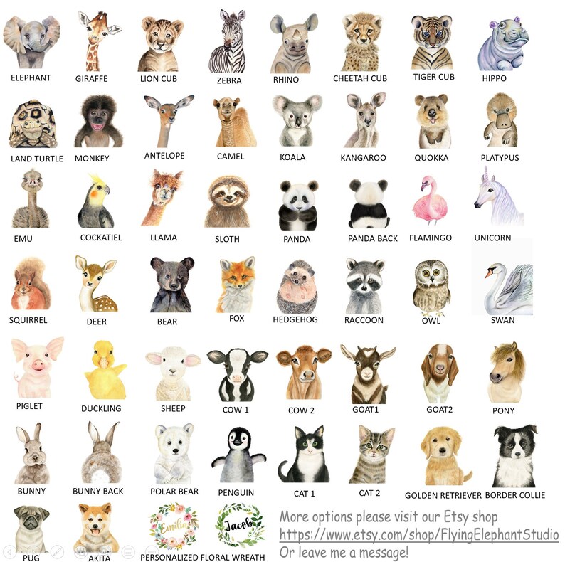 May include: A chart of watercolor animal illustrations with names below each image. The animals include a giraffe, zebra, rhino, cheetah cub, tiger cub, hippo, land turtle, monkey, antelope, camel, koala, kangaroo, quokka, platypus, emu, cockatiel, llama, sloth, panda, panda back, flamingo, unicorn, squirrel, deer, bear, fox, hedgehog, raccoon, owl, swan, piglet, duckling, sheep, cow, goat, pony, bunny, bunny back, polar bear, penguin, cat, golden retriever, and border collie.