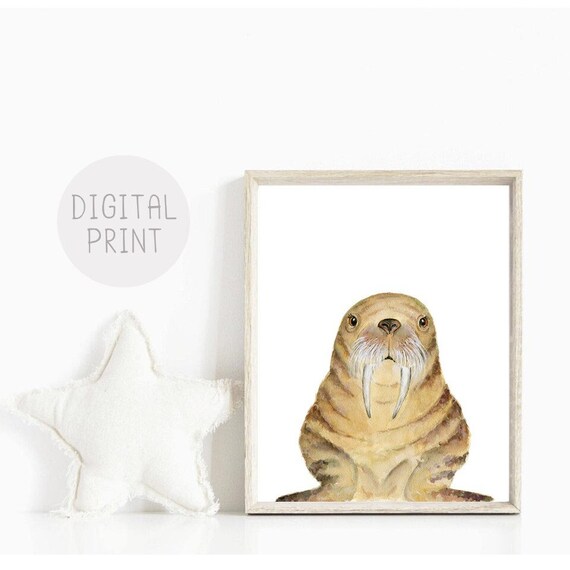 Walrus Nursery Wall Art PRINTABLE Arctic Animals Nursery - Etsy Walrus Nursery Wall Art PRINTABLE Arctic Animals Nursery - Etsy