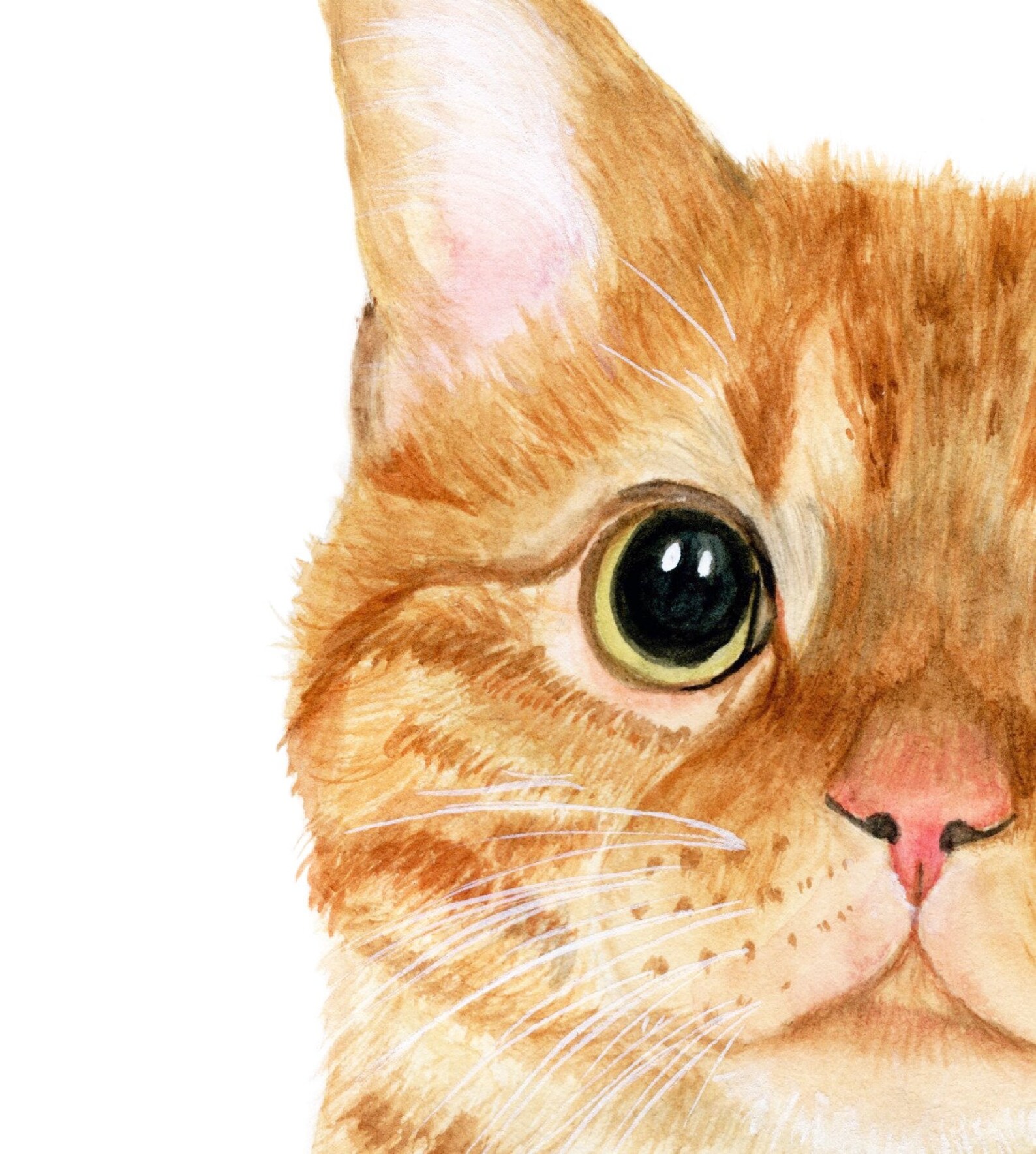 Cat Nursery Decor Orange Tabby Cat Print PRINTABLE - Etsy